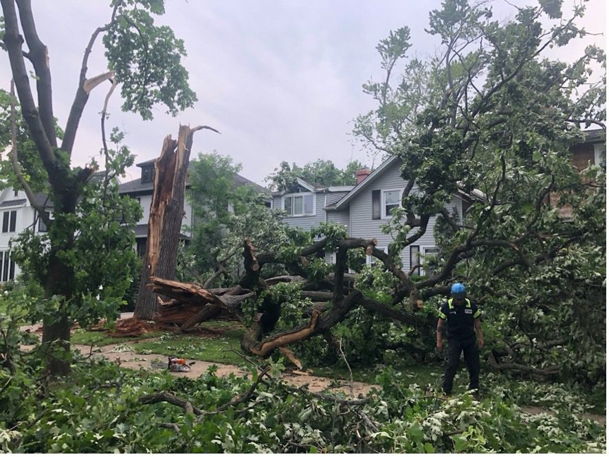 Advanced Tree Care Emergency Tree Removal