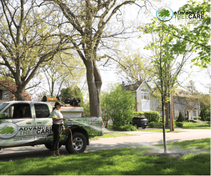 Advanced Tree Care crew performs trees watering in Winnetka