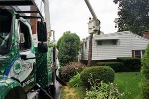 ATC Tree Removal Service