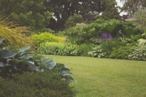 Lawn Care Schedule 