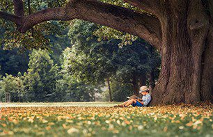 tree-care-dupage-county