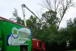 avoiding tree-mergencies